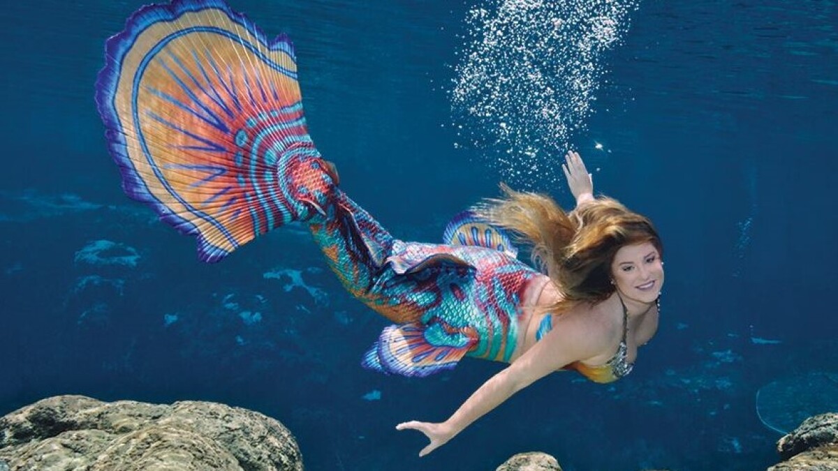 A Weeki Wachee Springs mermaid performer with a colorful tail swimming underwater